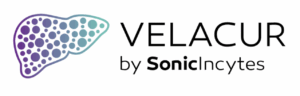 sonic incytes logo